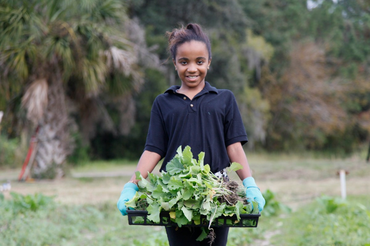 Photo Gallery – Gullah Gone