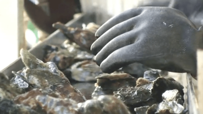 Screen Shot 2014-09-08 at 8.31.29 AM