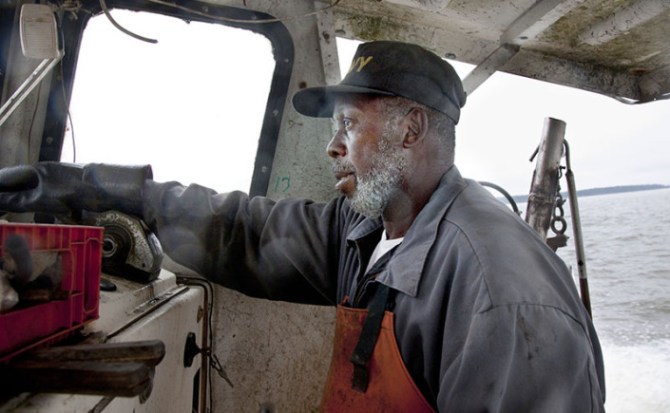 Frank Major Sr., commercial crab fisherman, checks his traps for blue crab and stone crab. Photos © 2011 Denise McGill